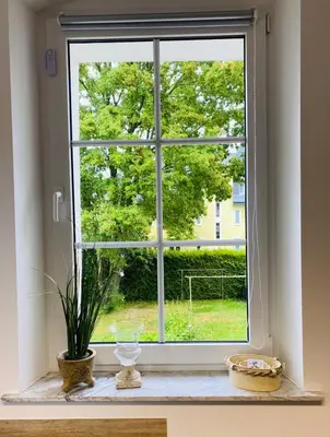 Ein Garten an der Unterkunft FEWO Edisonstraße