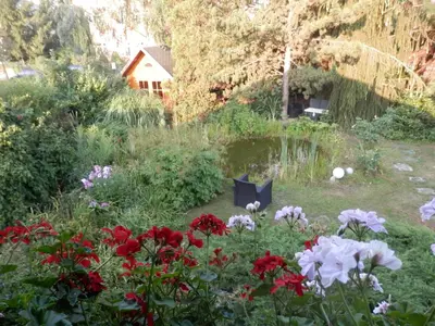 Ein Garten an der Unterkunft Ferienwohnung Nessler