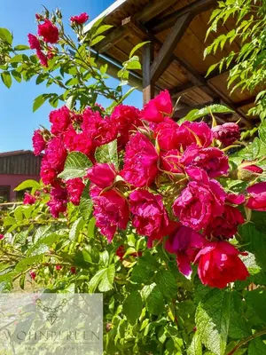 Ein Garten an der Unterkunft Wohnperle Bauernhaus Meusegast