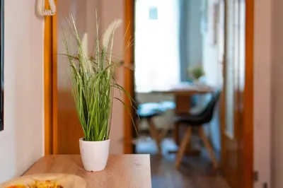 Grundriss der Unterkunft Ferienwohnung Cordula