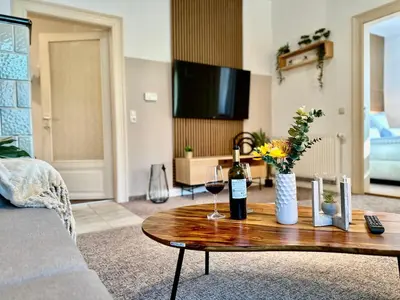 TV/Unterhaltungsangebot in der Unterkunft Belvedere Apartment - Riverside - Zentrum - Netflix - Liliensteinblick