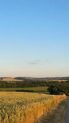 Naturlandschaft in der Nähe des Hostels
