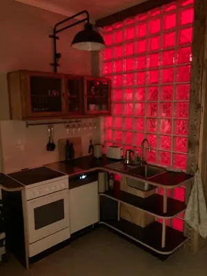 Küche/Küchenzeile in der Unterkunft Dresden in schöner AtelierWohnung mit Gartenblick