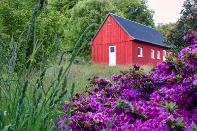 Ein Garten an der Unterkunft Ferienhaus Gipfelblick im Sandsteinidyll