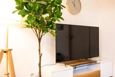 TV/Unterhaltungsangebot in der Unterkunft StayTime - Olive Nest