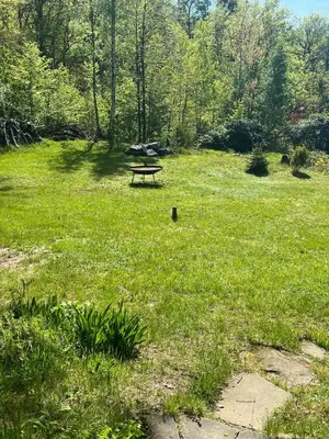 Naturlandschaft in der Nähe des Ferienhauses