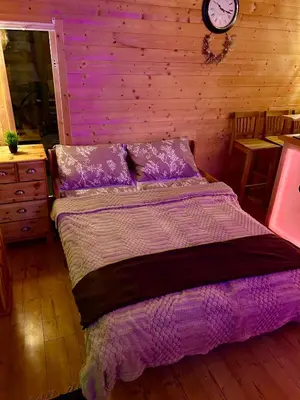Ein Bett oder Betten in einem Zimmer der Unterkunft Wellness Ferienwohnung mit Sauna, Massagen, Spa, beheizbarem Whirlpool bei Leipzig