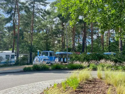 Ein Garten an der Unterkunft Familienpark Senftenberger See