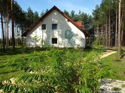 Ein Garten an der Unterkunft Familienpark Senftenberger See