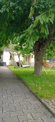 Ein Garten an der Unterkunft Ferienwohnung Waldblick in Frauenstein