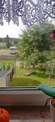 Ein Garten an der Unterkunft Ferienwohnung Waldblick in Frauenstein
