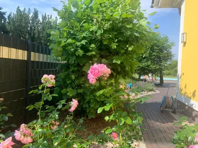 Grundriss der Unterkunft Haus Matti