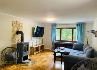 TV/Unterhaltungsangebot in der Unterkunft Ferienhaus am Röhrensteig