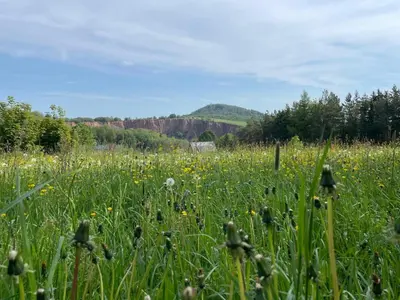 Naturlandschaft in der Nähe der Ferienwohnung