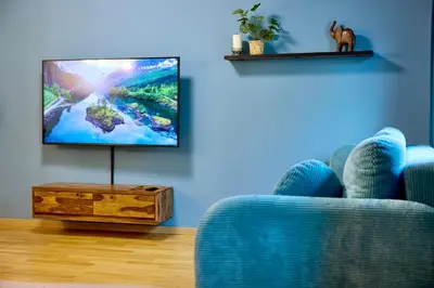 TV/Unterhaltungsangebot in der Unterkunft Bamboo Hideaway Dresden