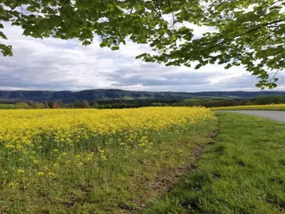 Naturlandschaft in der Nähe des Ferienhauses