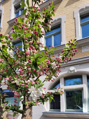Ein Garten an der Unterkunft Wohnen auf Zeit - Nähe Klinikum