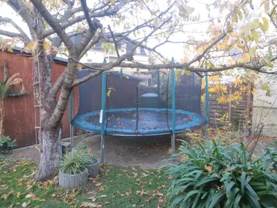 Ein Garten an der Unterkunft Gartenhaus Klotzsche