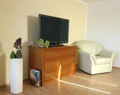 TV/Unterhaltungsangebot in der Unterkunft Ferienwohnung Maul