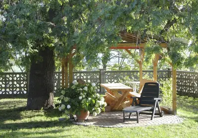 Ein Garten an der Unterkunft Ferienwohnung Maul