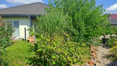Ein Garten an der Unterkunft Bungalow Haus mit 3 Schlafzimmern nähe Dresden