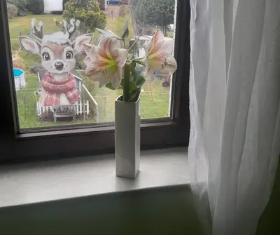 Grundriss der Unterkunft Taurasteinblick