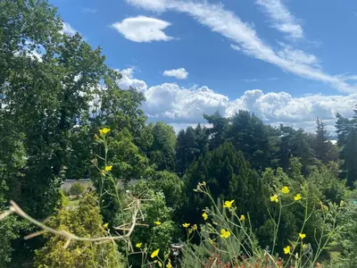 Naturlandschaft in der Nähe der Ferienwohnung