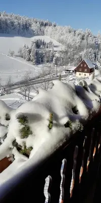 Ferienwohnungen Ihle im Winter