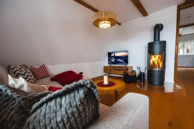 TV/Unterhaltungsangebot in der Unterkunft Ahornallee - Erzgebirge
