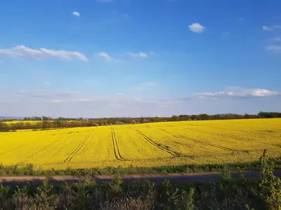 Naturlandschaft in der Nähe der Ferienwohnung