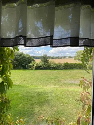 Ein Garten an der Unterkunft Ferienwohnung Waldblick