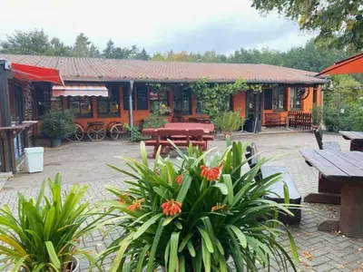 Ein Garten an der Unterkunft Ferienwohnung Waldblick