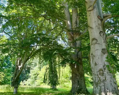 Naturlandschaft in der Nähe der Ferienwohnung
