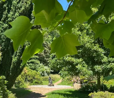 Ein Garten an der Unterkunft Ferienwohnung Auszeit am Schlossberg