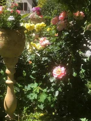 Ein Garten an der Unterkunft Ferienhaus mit Pool im Seußlitzer Grund
