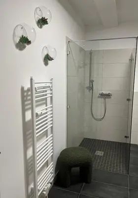 Ein Badezimmer in der Unterkunft ANER 6 eleganter Loft mit Infrarotsauna in Dresden Weißer Hirsch