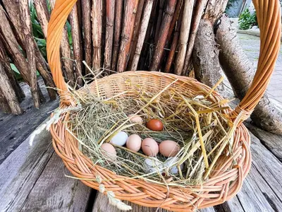 Grundriss der Unterkunft Traumhaftes GARTENLOFT
