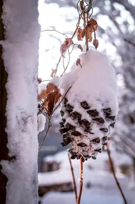 Traumhaftes GARTENLOFT im Winter