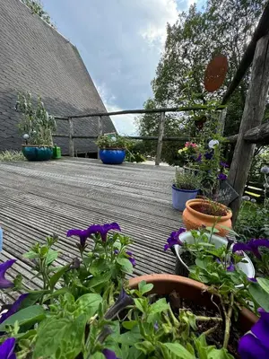Ein Garten an der Unterkunft BERG WELT im Erzgebirge