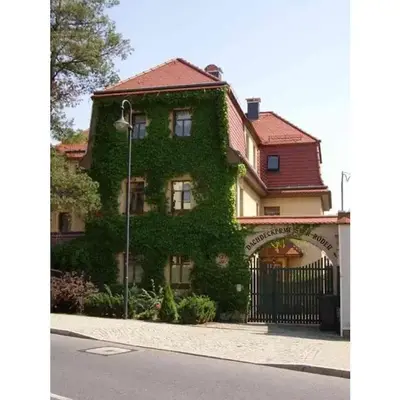 Pillnitz Castle View