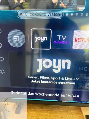 TV/Unterhaltungsangebot in der Unterkunft MonteurWohnung Fischbach App2