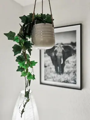 Grundriss der Unterkunft StayTime - Pine Studio