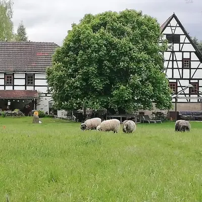 Appenhof Müllerhaus