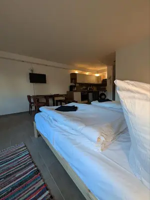 Ein Bett oder Betten in einem Zimmer der Unterkunft Eigenes ruhiges Appartement mit Küche und Terasse Chemnitz