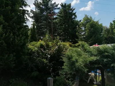 Ein Garten an der Unterkunft Häuschen in grüner Idylle
