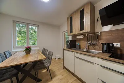 Küche/Küchenzeile in der Unterkunft DresdenStay Modern 3 Schlafzimmer Balkon Kamin PS4
