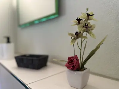 Grundriss der Unterkunft Kegel