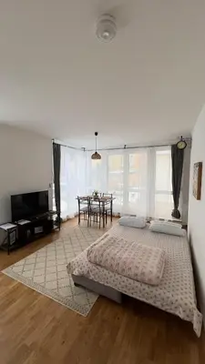 TV/Unterhaltungsangebot in der Unterkunft Modern 2 Room Apartment with Balcony in Dresden