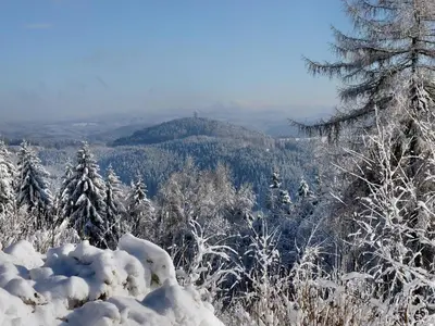 Elbflorenz im Winter