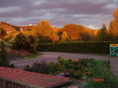 Naturlandschaft in der Nähe der Ferienwohnung